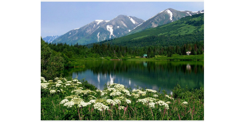 Аномальная жара на Аляске: в декабре потеплело до +20