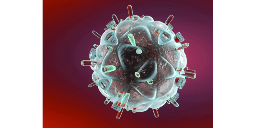 В округе Лос-Анджелес наблюдается еще один резкий рост числа госпитализаций в связи с COVID