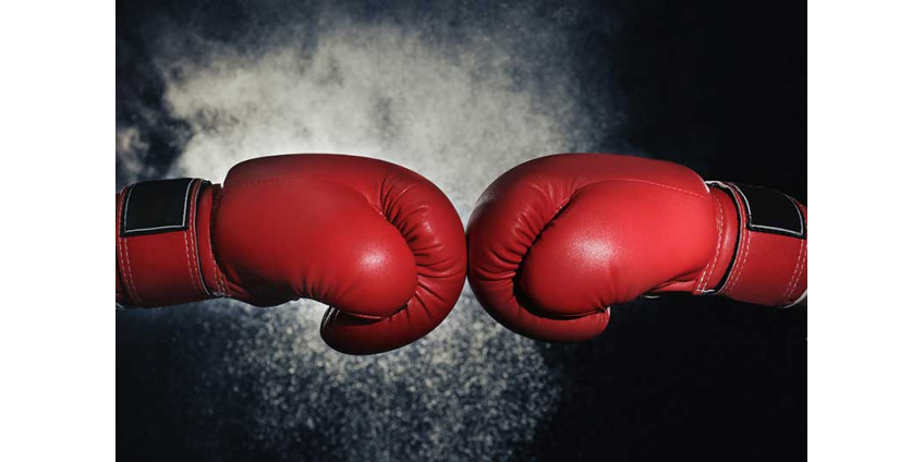 Названы богатейшие боксеры в истории