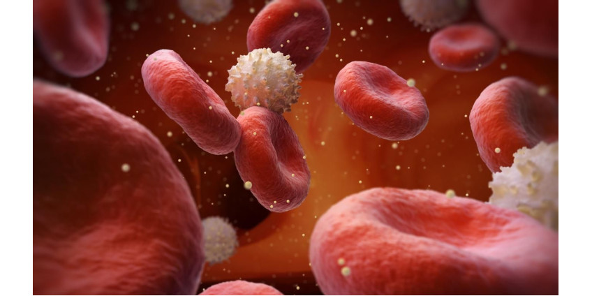 Ученые нашли новый способ регулирования уровня сахара в крови