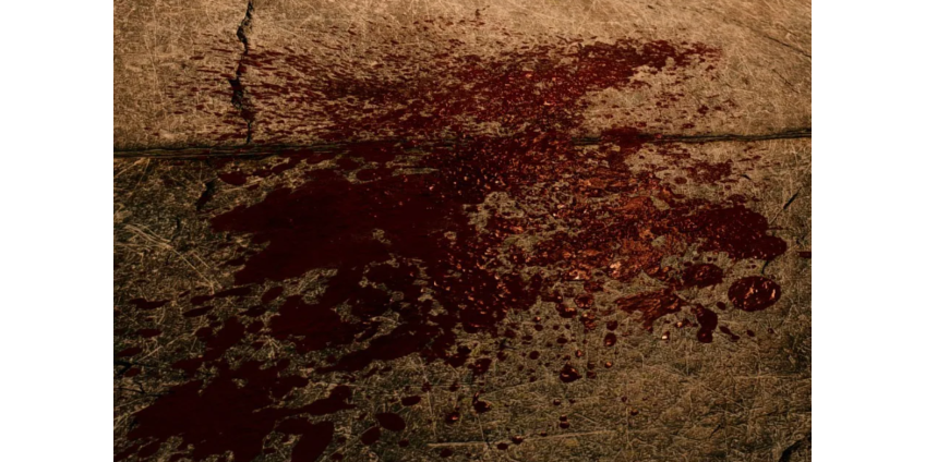 Один человек убит, четверо ранены на вечеринке в Южном Лос-Анджелесе