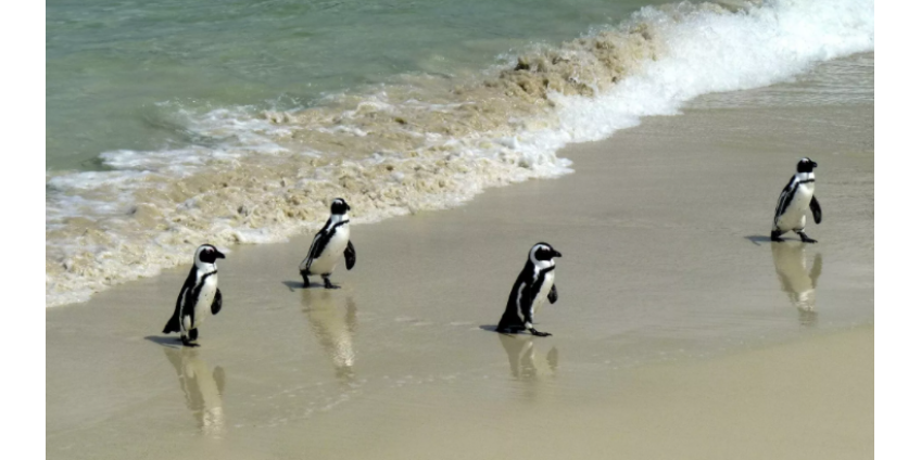 Ученые сообщили о рекордном нагреве океана