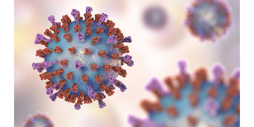 Ученые раскрыли влияние COVID-19 на иммунную систему