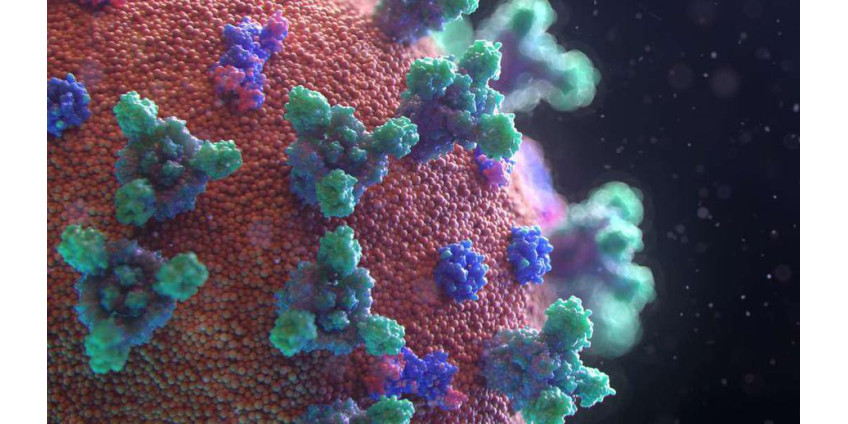 Общественное здравоохранение: округ Лос-Анджелес "преодолел пик" заболеваемости омикроном