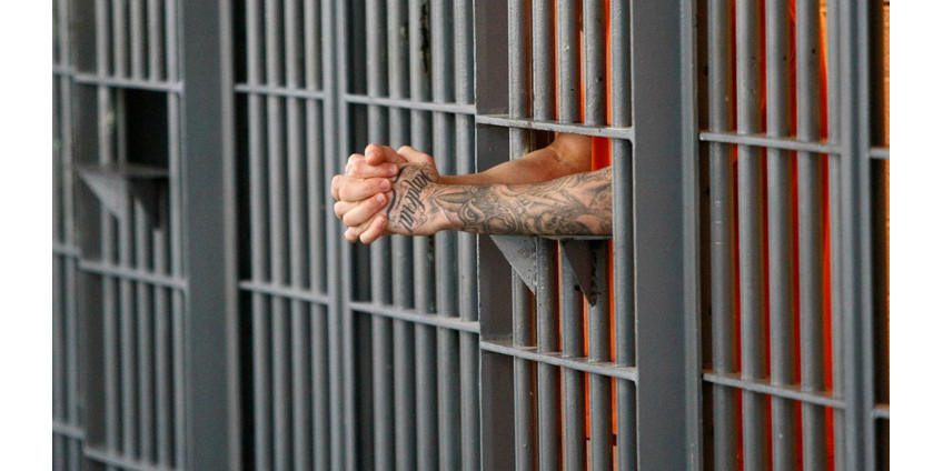 Департамент шерифа Сан-Диего опубликовал данные о смертях в тюрьмах