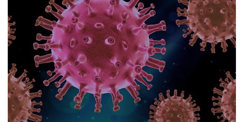 Случаи заражения COVID-19 в округе Кларк возросли, количество пациентов снизилось