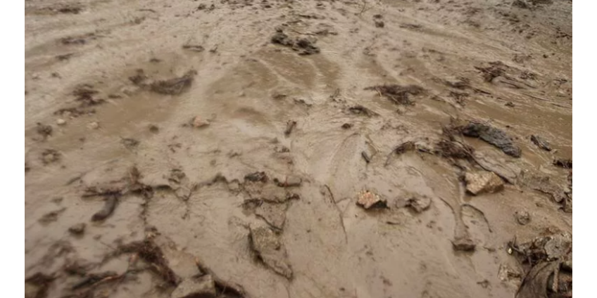 Число жертв сильнейшего паводка в Бразилии превысило 130