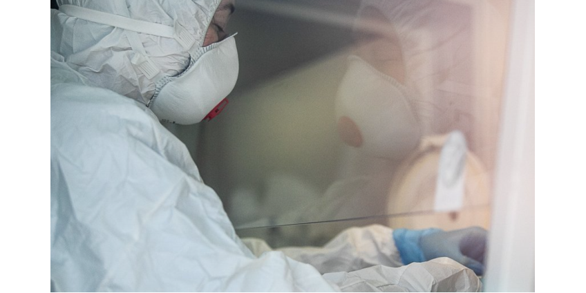 «Убьет каждого третьего»: ученые предсказали появление смертоносного штамма коронавируса