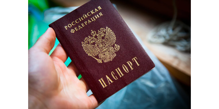 В России предложили упростить получение гражданства