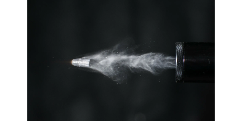 В Лос-Анджелесе мужчина открыл стрельбу из-за замечания прохожих по поводу его обращения с собакой