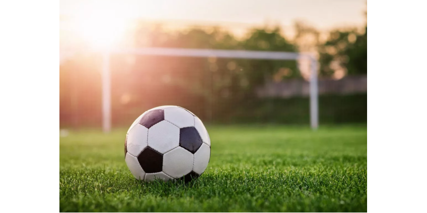 В Италии заявили об абсурдности системы отбора на чемпионат мира по футболу В Италии заявили об абсурдности системы отбора на чемпионат мира по футболу