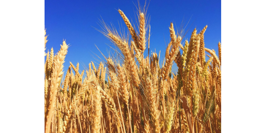 В США заявили об озабоченности ростом цен из-за санкций против России