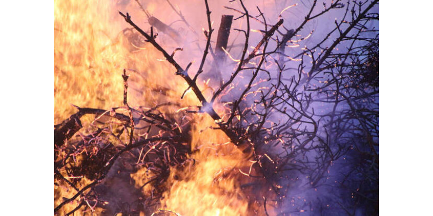 В Турции произошел сильный лесной пожар