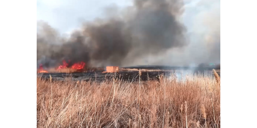 В российском регионе ввели режим ЧС из-за пожаров