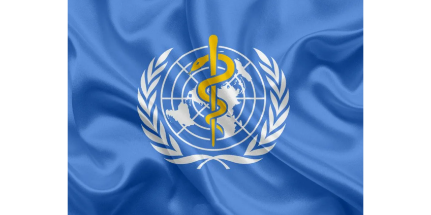 ВОЗ решила созвать чрезвычайную встречу экспертов из-за оспы обезьян