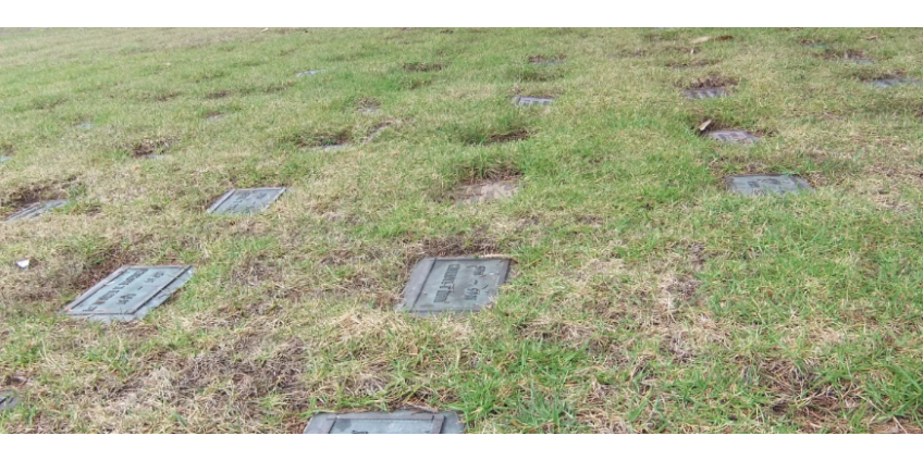 4 человека были ранены в драке на кладбище в Covina Hills