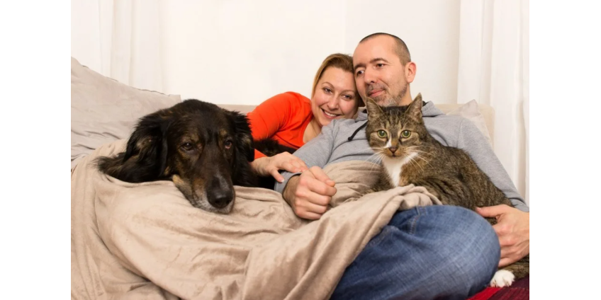 Nevada SPCA проводит мероприятие по бесплатному приему животных в семьи