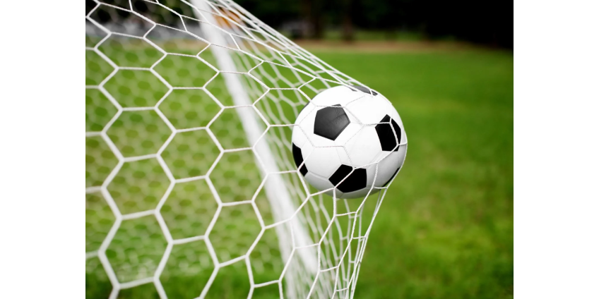 Полсотни футбольных фанатов задержали во время финала Лиги чемпионов