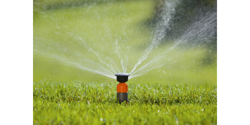 В Южной Калифорнии вступили в силу ограничения на полив В Южной Калифорнии вступили в силу ограничения на полив