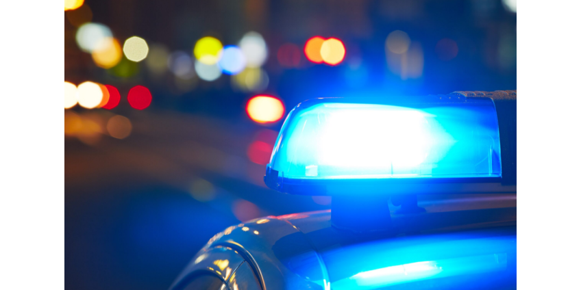 Во Флориде двухлетний мальчик случайно застрелил отца из пистолета