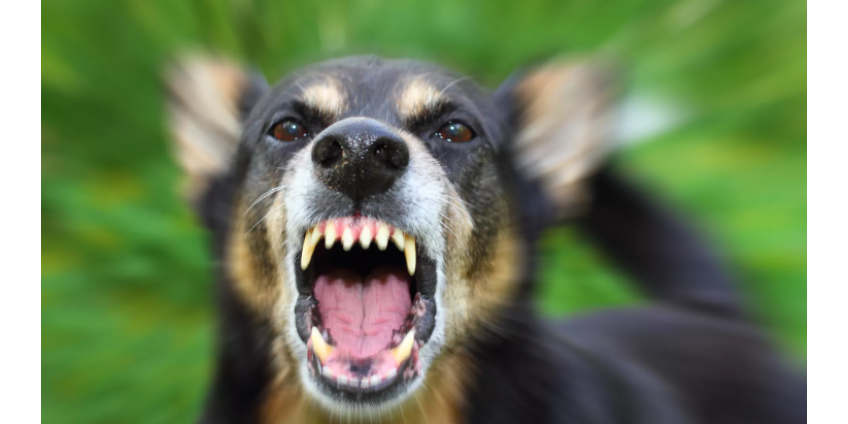 Ученые сделали шаг к новой вакцине против "самого смертоносного" вируса