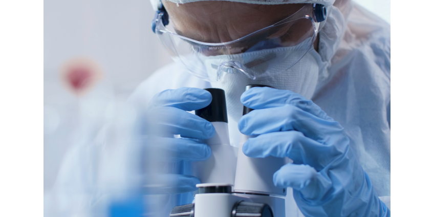 В «Векторе» оценили вероятность вспышки конго-крымской лихорадки В «Векторе» оценили вероятность вспышки конго-крымской лихорадки