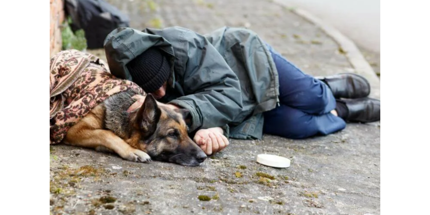 Бездомность в Лонг-Бич выросла на 62% с 2020 года