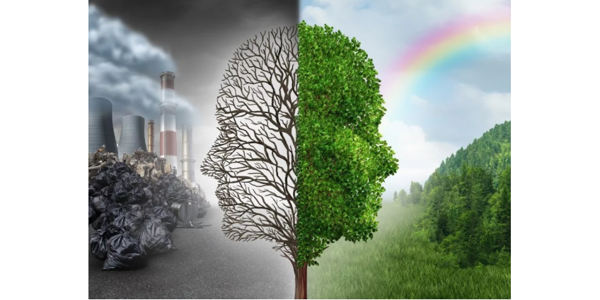 Сан-Диего стремится к нулевым выбросам в климатическом плане