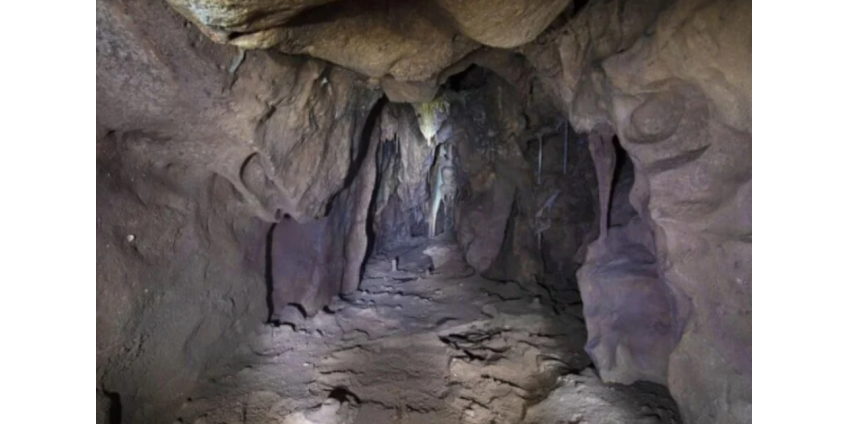 Пропавшая собака два месяца жила в пещере в полной темноте Пропавшая собака два месяца жила в пещере в полной темноте