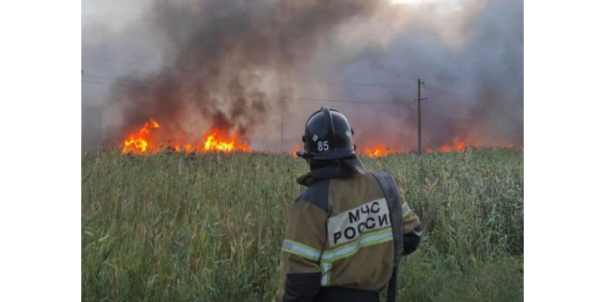 В Ростовской области назвали поджоги вероятной причиной лесных пожаров