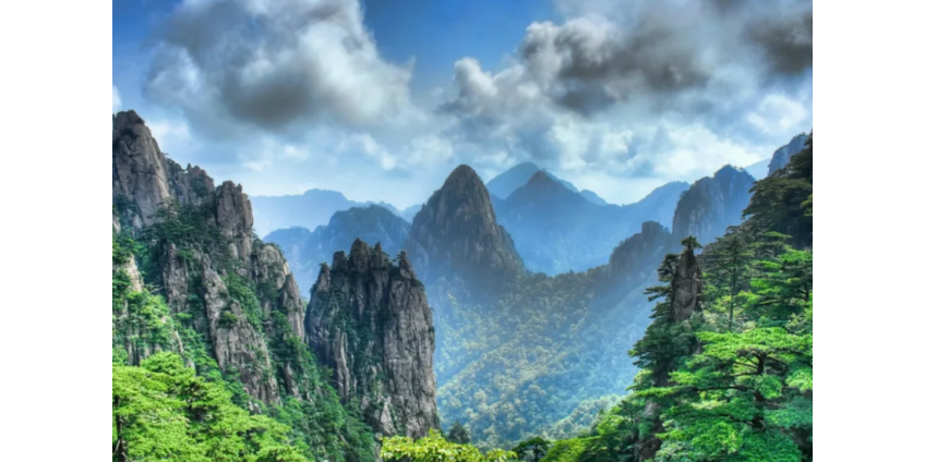 Мужчина два года жил в глуши в полном одиночестве и почти разучился говорить