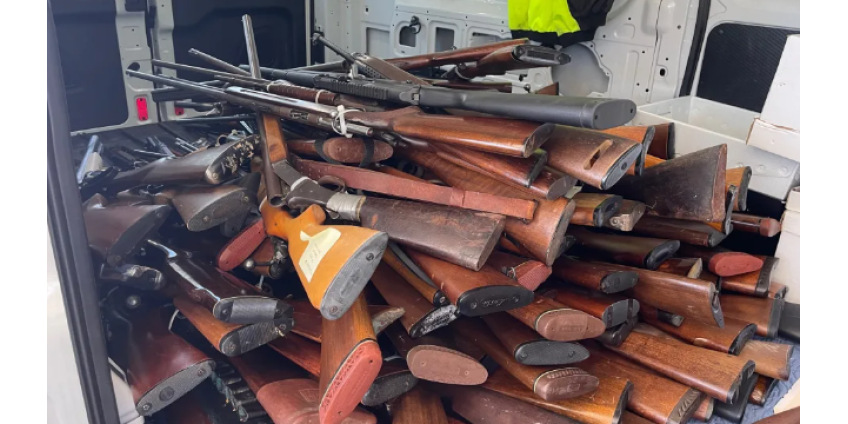Департамент шерифа Сан-Диего собрал у местных жителей более 300 единиц оружия