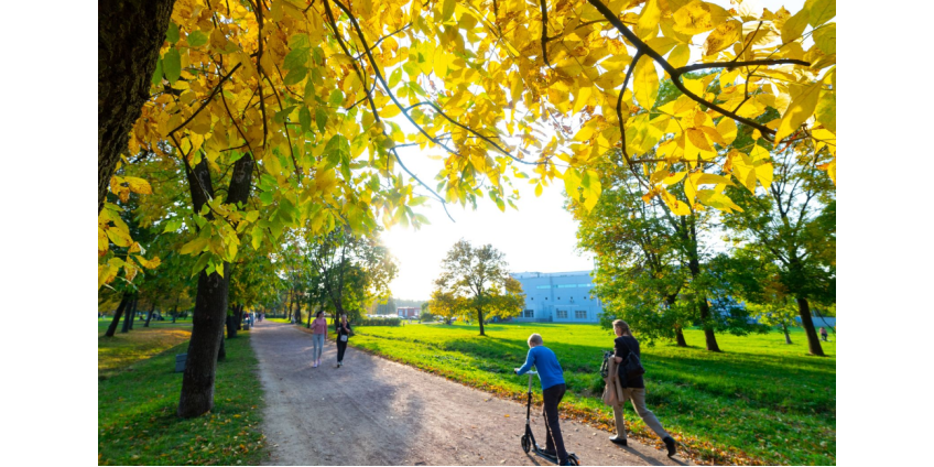 Синоптик назвал сроки начала бабьего лета в Европейской части России Синоптик назвал сроки начала бабьего лета в Европейской части России