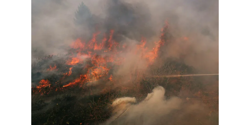Вблизи плотины Сан-Габриэль распространяется пожар