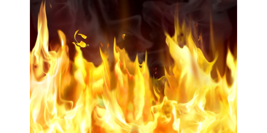 В Уилмингтоне в результате пожара сгорело пять акров болотного тростника