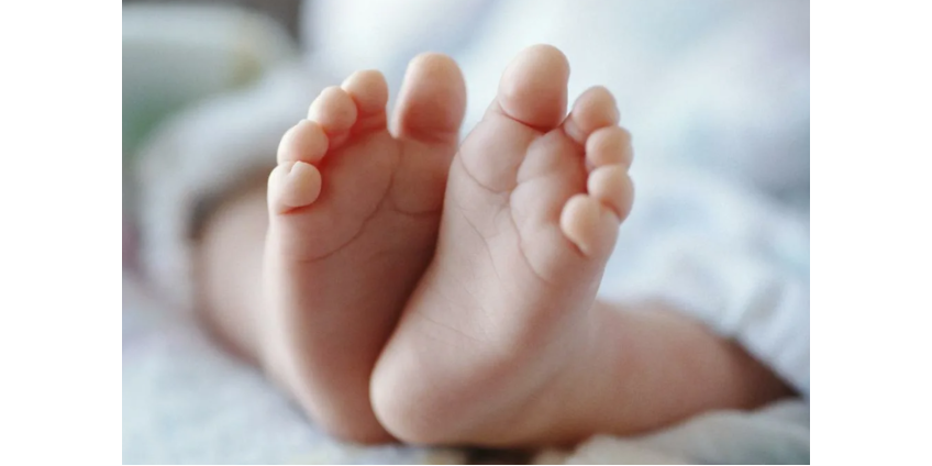 Мужчина вышел на улицу из-за лая собаки и нашел девочку у себя в сарае