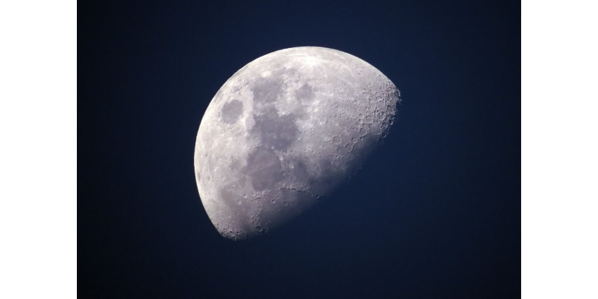 Разработан проект выращивания растений на Луне