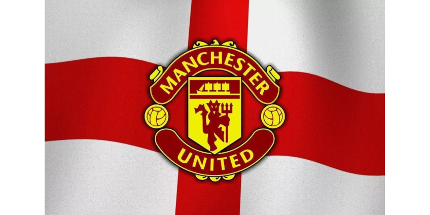 В Сочи домашние бойцовские собаки загрызли четырехлетнюю девочку