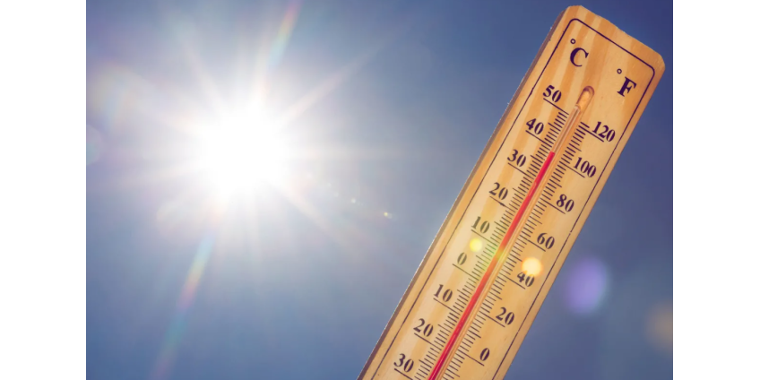 Смертность от жары в округе Марикопа превысила прошлогодние показатели