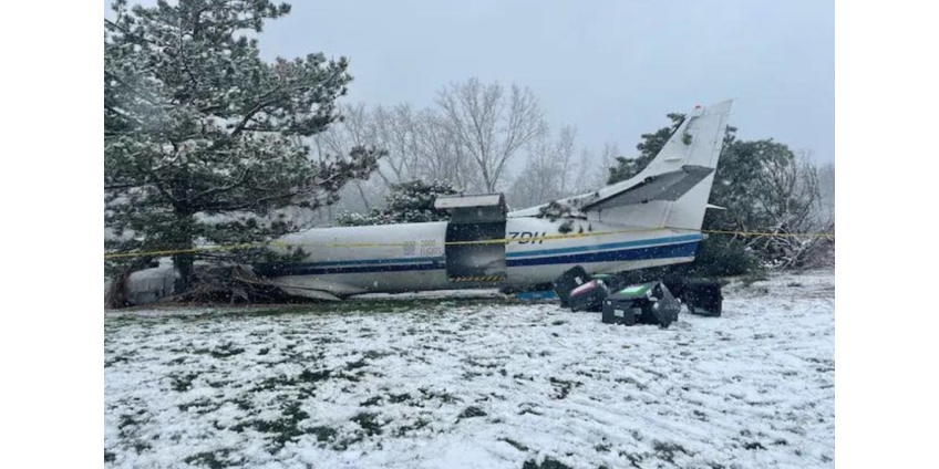 Самолет с 53 собаками на борту совершил аварийную посадку