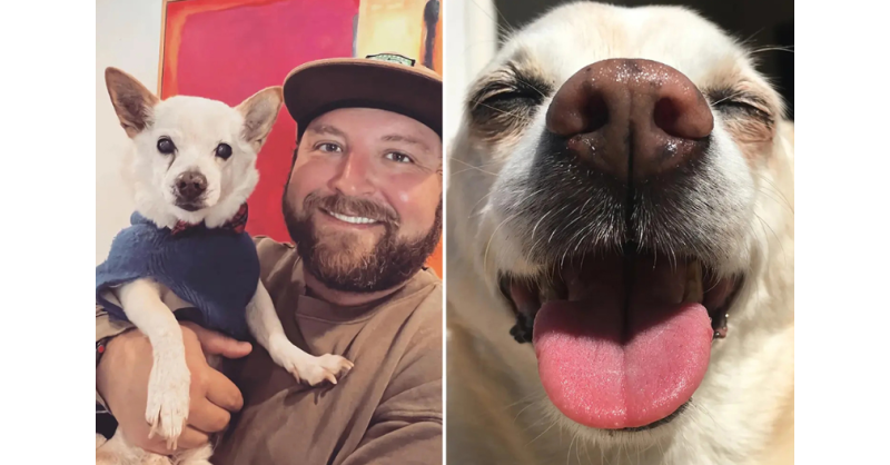 22-летняя собака из Лос-Анджелеса названа старейшей собакой из ныне живущих