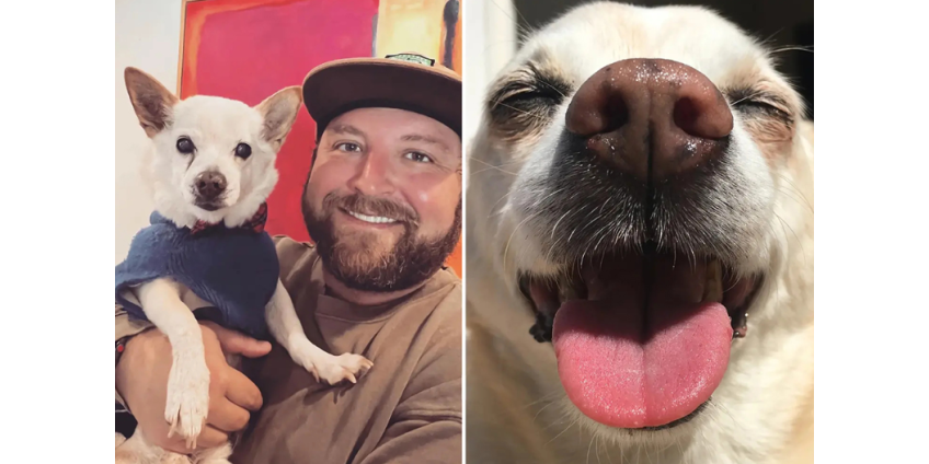 22-летняя собака из Лос-Анджелеса названа старейшей собакой из ныне живущих