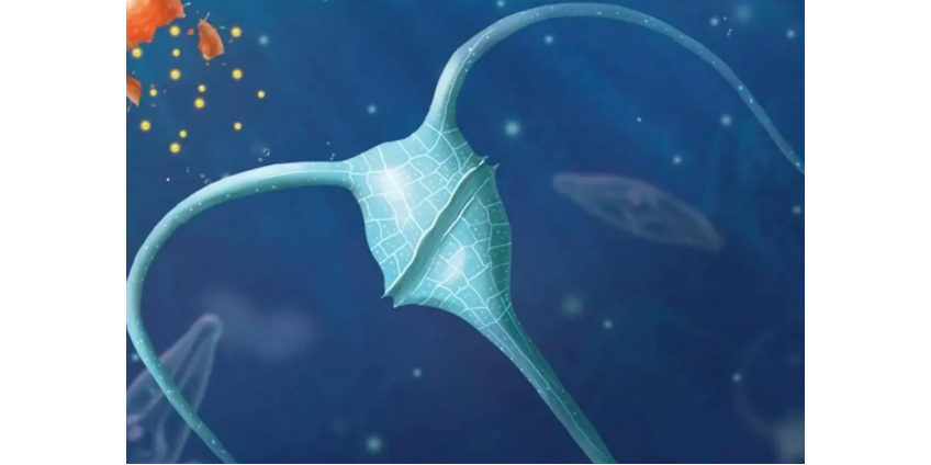 Ученые предложили засеять океан наночастицами