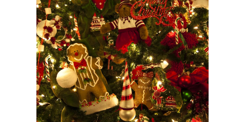 Руководитель школьного совета в Калифорнии уходит в отставку после скандальной вечеринки