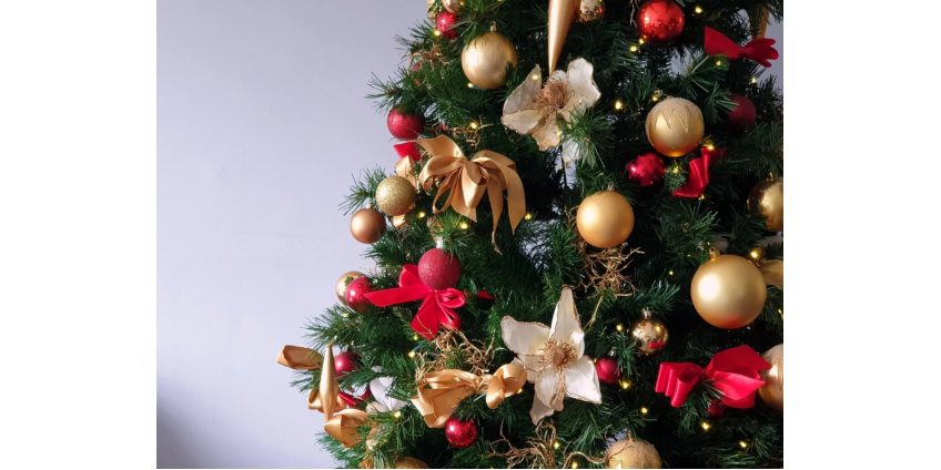 Сотням семей в Лас-Вегасе подарили Рождественский праздник