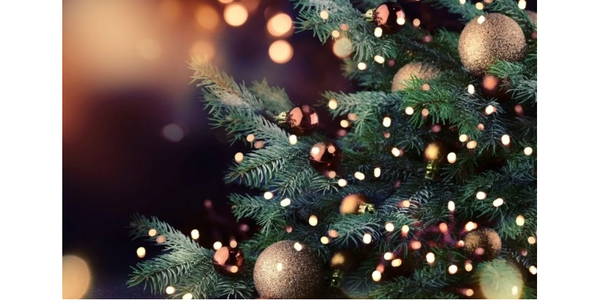 В Финиксе и его окрестностях запланировали ряд праздничных мероприятий