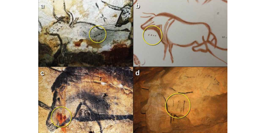 Рисунки пещерных людей оказались первым лунным календарем