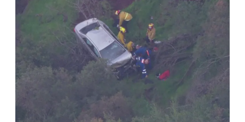 В Лос-Анджелесе спасли женщину после 100-футового падения с обрыва у Mulholland Drive
