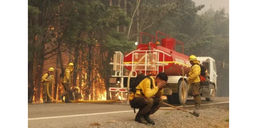 В Чили 22 человека погибли из-за лесных пожаров