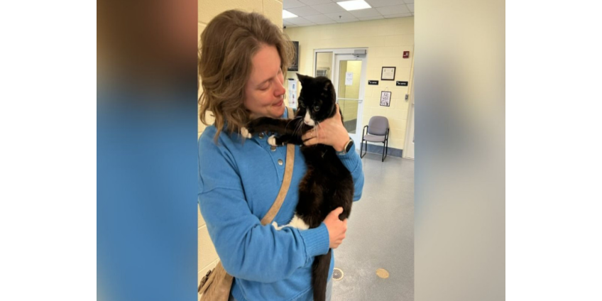Пропавшая без вести кошка воссоединилась с хозяйкой спустя девять лет